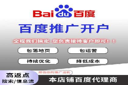 百度竞价包年推广策略深度解读与案例分析
